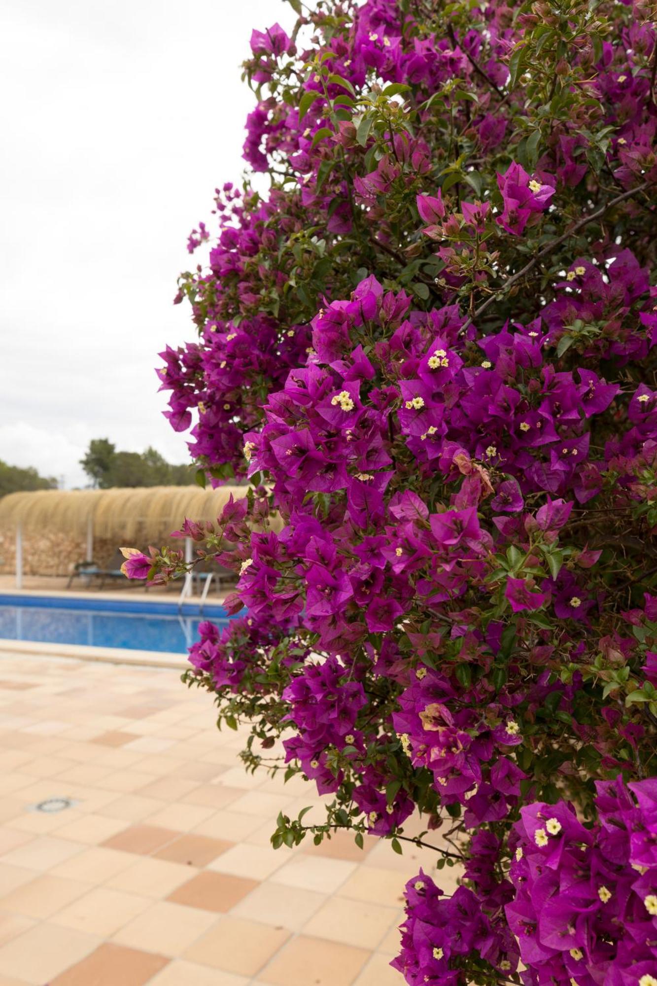 Villa Mestral Alcúdia Exteriér fotografie